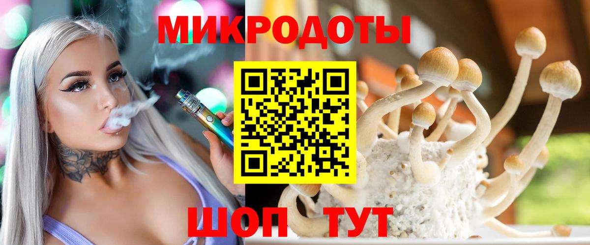 Петропавловск-Камчатский  Галлюциногенные грибы Cubensis  Вход с VPN  Псилоцибиновые грибы ЛСД 