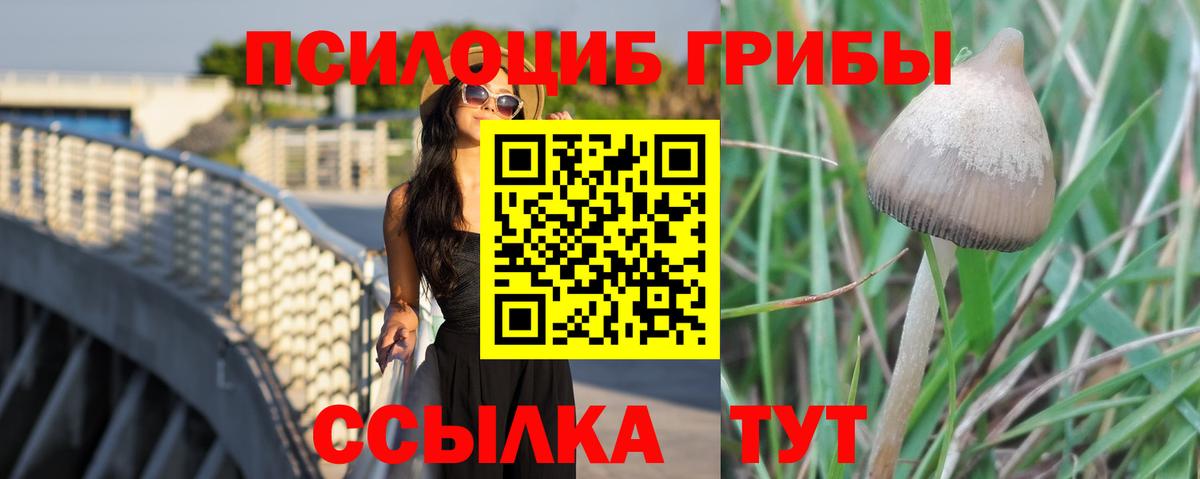 Псилоцибиновые грибы мицелий Петропавловск-Камчатский